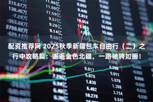 配资推荐网 2025秋季新疆包车自由行（二）之行中攻略篇：邂逅金色北疆，一路驰骋如画！