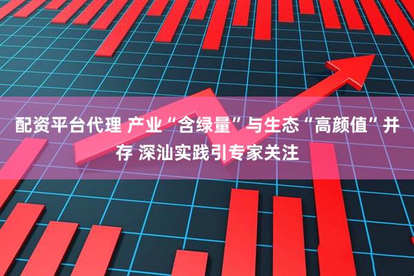 配资平台代理 产业“含绿量”与生态“高颜值”并存 深汕实践引专家关注